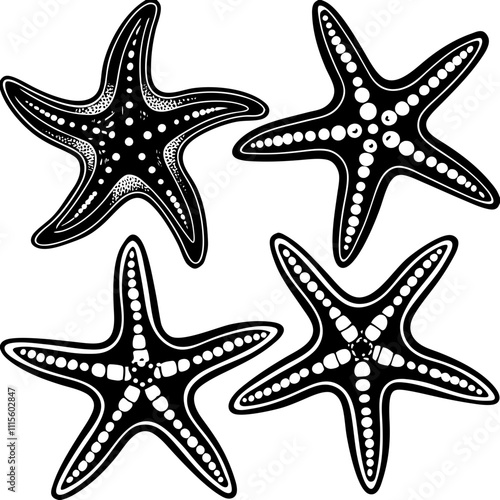 Set of starfish silhouette vector illustration, Starfish icon collection