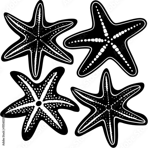 Set of starfish silhouette vector illustration, Starfish icon collection