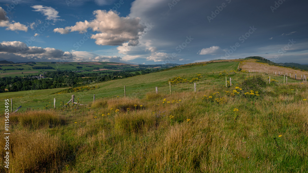 Obraz premium Summer in the meadows of Dorset, England