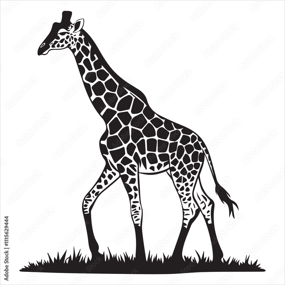 Obraz premium Giraffe silhouette vector on white background, A black and white drawing of a lion, Silhouette picture.
