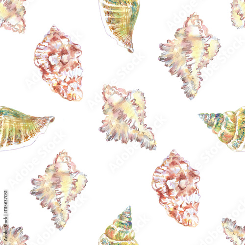 Shell pattern underwater world in watercolor. Murex Endivia, Voluta Virescens, Conch Snail sea shells with different form. Sea snails can be used as a sticker, a printed postcard, poster for a spa photo