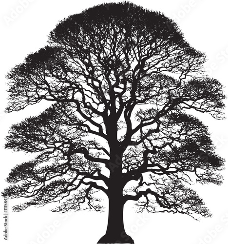 Sycamore Tree Cutout Vector Silhouette