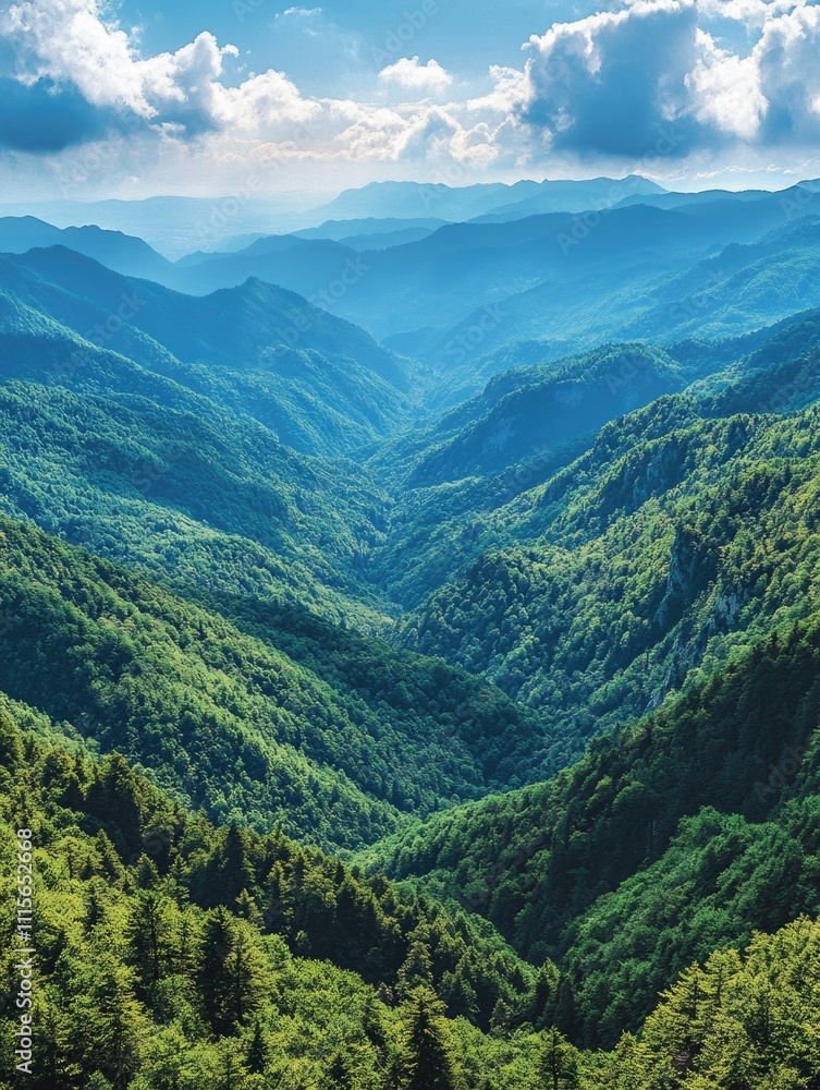 Obraz premium Mountain View From High