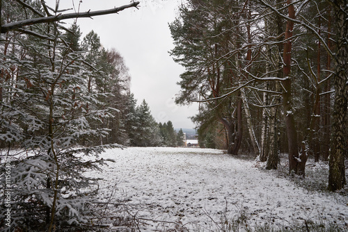 Fototapeta Naklejka Na Ścianę i Meble -  zima ,łąka 