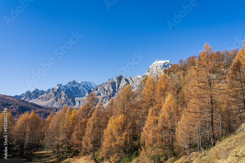 Foliage all'Alpe Sangiatto (Alpe Devero) in autunno photo