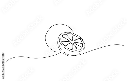 Continuous one line drawing of orange fruit, Orange fruit in continuous line art drawing style, Single continuous line drawing sliced healthy organic lemon for orchard logo identity.
