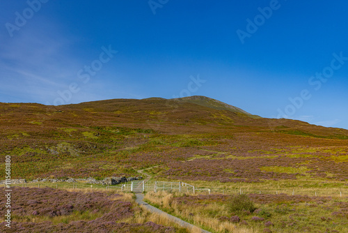 Schiehallion mountain, Ben Lawers range, Grampian Mountains, Kenmore, Perth and Kinross, Scotland photo