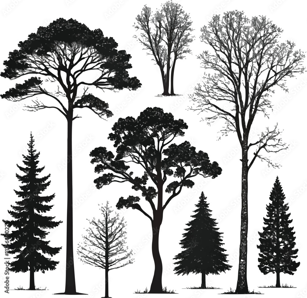 Fototapeta premium silhouettes of trees