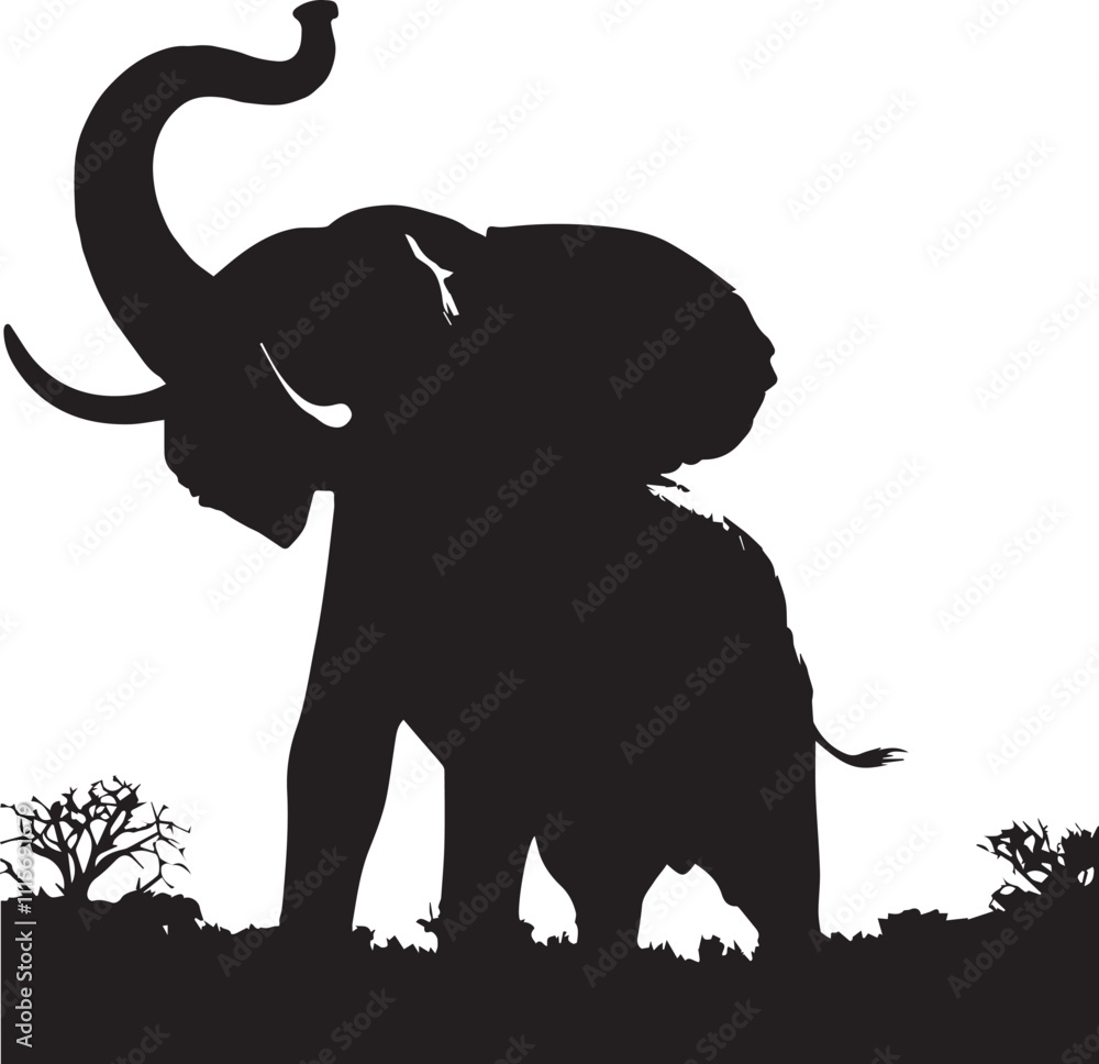 Obraz premium Silhouette of Elephant with white background