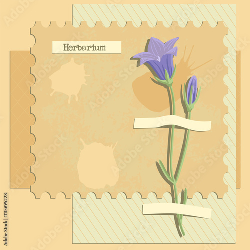 vector collage with flower, bell, creative composition, herbarium imitation. dried wild plants