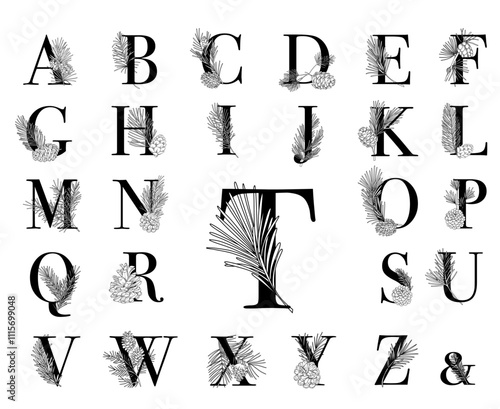 Set of vector floral letters with line art pine branches and pinecones, botanical alphabet, forest wedding design