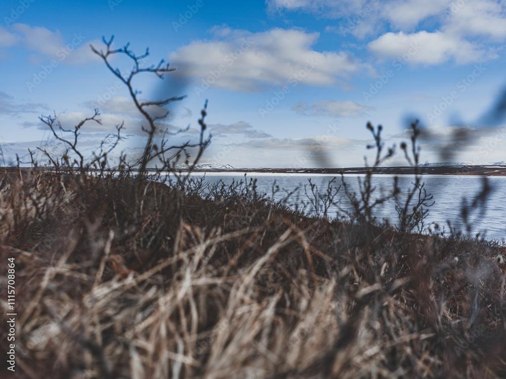 Obraz premium Paysage naturel avec vue sur le lac Mývatn en Islande