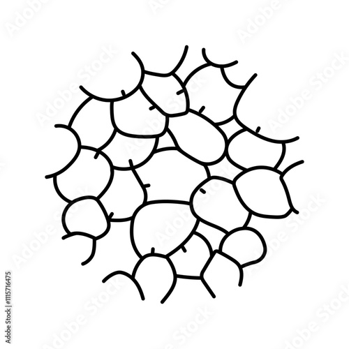 adipose tissue obesity overweight line icon vector. adipose tissue obesity overweight sign. isolated contour symbol black illustration