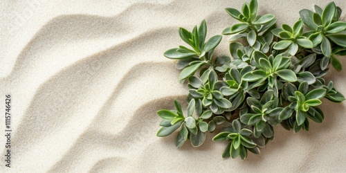 Fine beige sand texture with rippled patterns natural organic tones and simple aesthetic