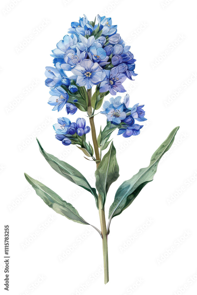 Obraz premium Bouquet of colorful Statice flowers with lush green leaves, watercolor art and botanical illustrations