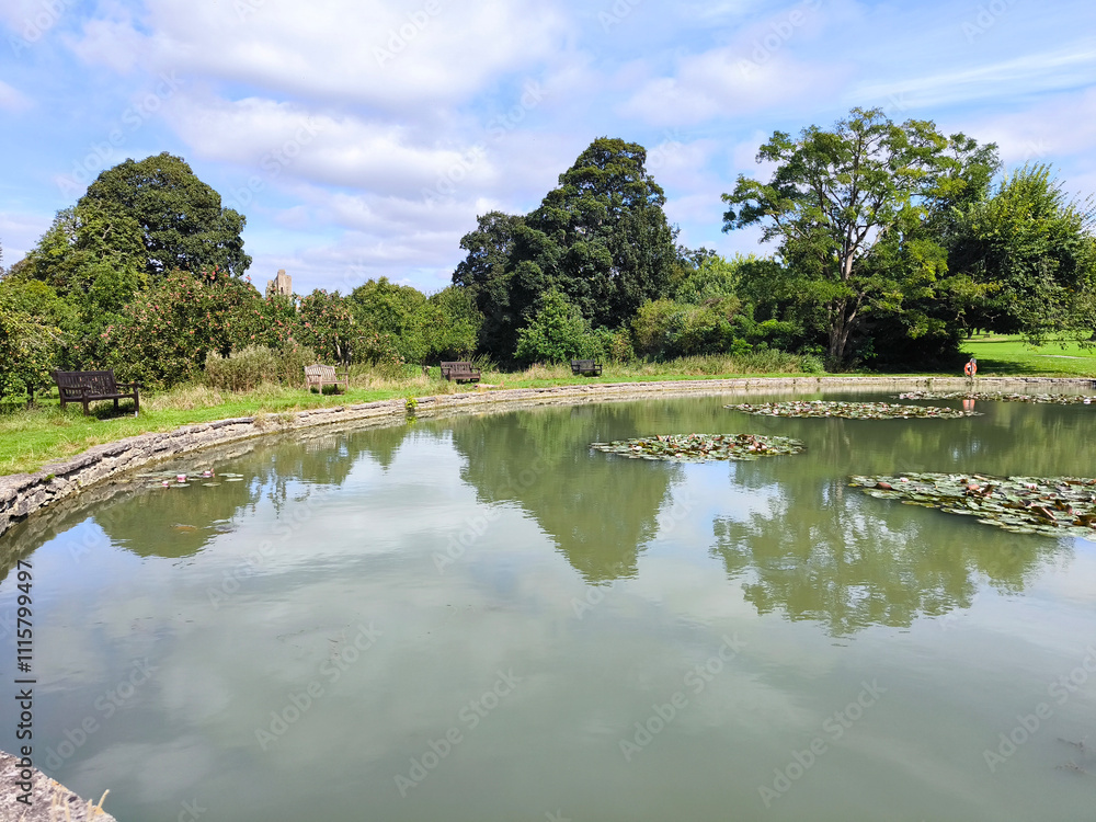 Lake with flowers
