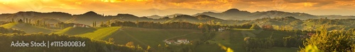 Wallpaper Mural Vineyards panorama along Styrian wine road, Austria Europe Torontodigital.ca