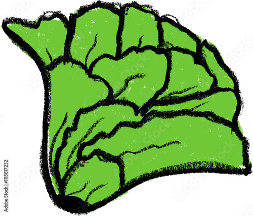 Lettuce Vegetables Crayon Chalk Drawing Colorful Vector