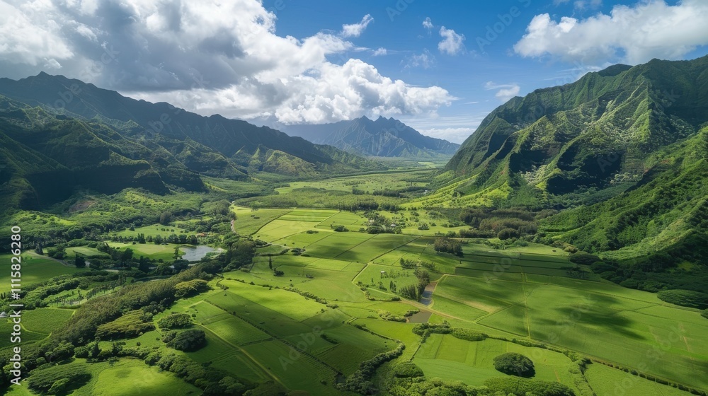 Obraz premium Stunning Aerial View of a Lush Green Valley Captured in Ultra HD 7K Resolution for Nature Enthusiasts and Outdoor Projects
