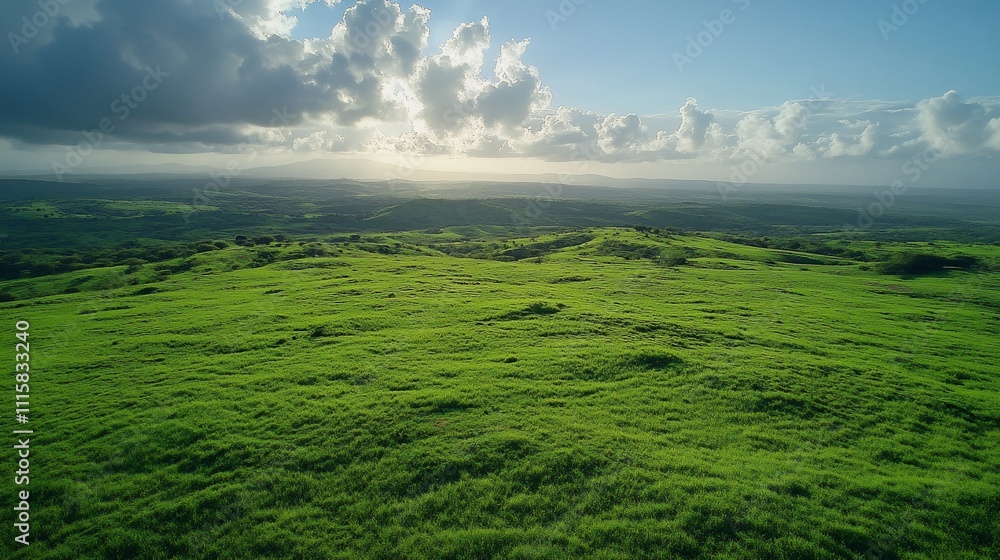 Fototapeta premium Panoramic aerial view of a vast, lush green grassland landscape stretching across a hilly terrain, bathed in sunlight filtering through scattered clouds.