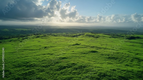 Panoramic aerial view of a vast, lush green grassland landscape stretching across a hilly terrain, bathed in sunlight filtering through scattered clouds. photo