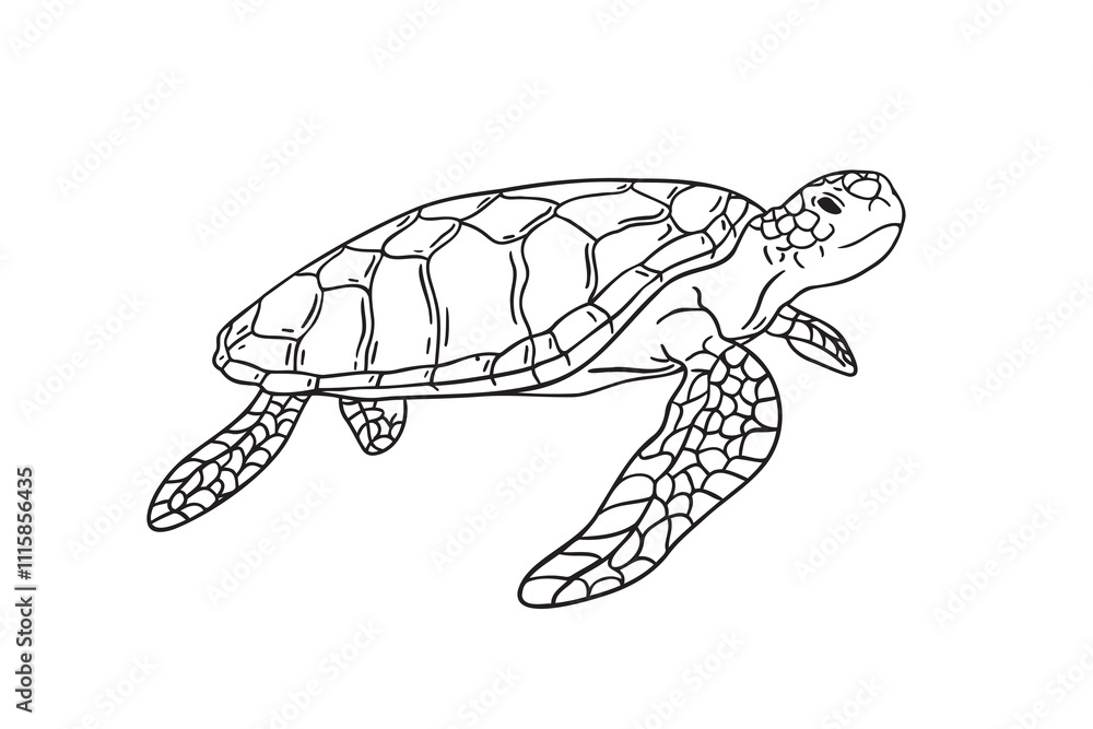 Obraz premium Stripes sea turtle swimming. realistic sea turtle doodle hand drawn isolated line black icon 