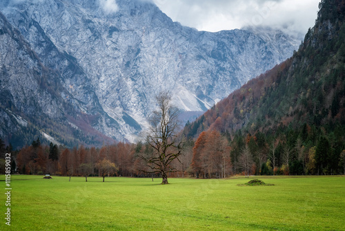 Amazing autumn view of the picturesque Logar Valley (Logarska Dolina) and Solcava panoramatic road, Slovenia photo