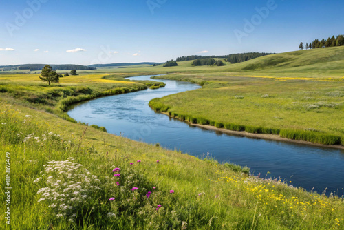 Calm River Winding Through Meadows