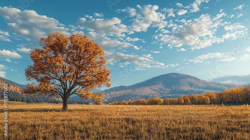 Panoramic landscape in autumn with tree and mountains