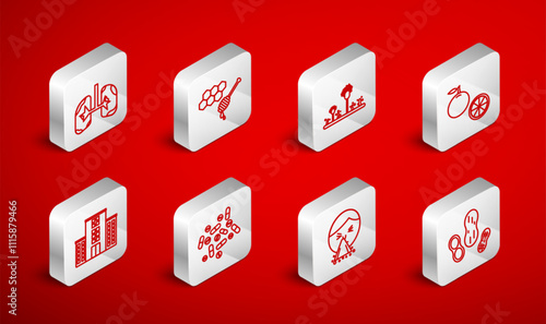 Set line Peanut, Honeycomb with honey dipper, Mold, Orange fruit, Handkerchief to his runny nose, Lungs, Medicine pill or tablet and Medical hospital building icon. Vector