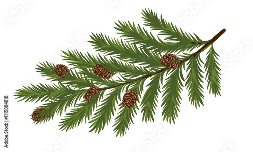 Christmas tree branch with cones Fluffy green branch, Christmas tree decorations. Vector illustration on white background