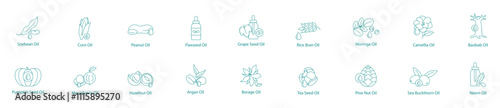 Comprehensive Plant Oils Collection Vector Icon Set Soybean, Corn, Peanut, Flaxseed, Grape Seed, Rice Bran, Moringa, Camellia, Baobab, Pumpkin, Macadamia, Hazelnut, Argan, Borage, Tea Seed, Pine Nut 