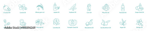 Comprehensive Plant-Based Oils Vector Icon Set: Coconut, Canola, Jojoba, Soybean, Corn, Pine Nut, Flax Seed, Grape Seed, Almond, Avocado, Moringa, Camellia, Pumpkin, Macadamia, Sea Buckthorn, Argan 