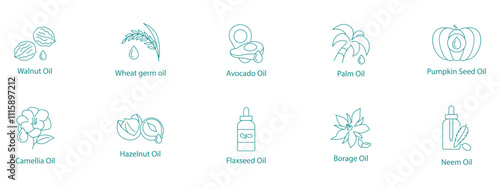 Natural Wellness Oils Vector Icon Set
Walnut, Wheat Germ, Avocado, Palm, Pumpkin Seed, Camellia, Hazelnut, Flaxseed, Borage, Neem