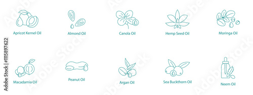 Exotic and Nutritional Oils Vector Icon Set: Apricot Kernel, Almond, Canola, Hemp, Moringa, Macadamia, Pine Nut, Peanut, Argan, Sea Buckthorn, Neem