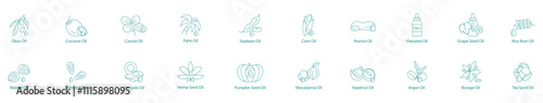 Comprehensive Cooking and Health Oils Vector Icon Set: Olive, Coconut, Canola, Palm, Soybean, Corn, Peanut, Flaxseed, Grape Seed, Rice Bran, Walnut, Almond, Avocado, Hemp, Pumpkin, Macadamia, Hazelnut