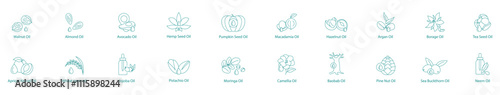 Comprehensive Nut and Seed Oils Vector Icon Set: Walnut, Almond, Avocado, Hemp, Pumpkin, Macadamia, Hazelnut, Argan, Borage, Tea Seed, Apricot Kernel, Wheat Germ, Jujuba, Pistachio, Moringa, Camellia 