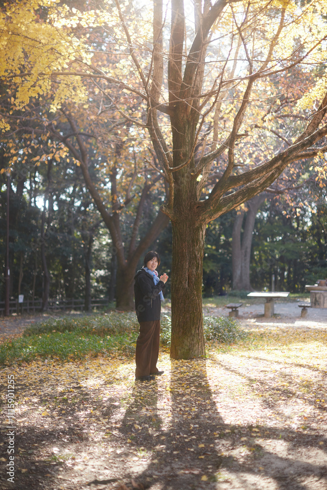 Obraz premium 冬の公園で散歩する中年女性と黄色いイチョウの木の風景