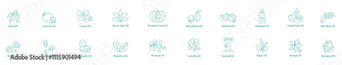 Ultimate Plant-Based Oils Vector Icon Set: Olive, Coconut, Canola, Hemp, Pumpkin Seed, Macadamia, Hazelnut, Flaxseed, Grape Seed, Rice Bran, Walnut, Almond, Avocado, Pistachio, Moringa, Camellia 