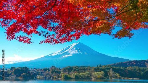 富士山と紅葉・河口湖　fall 2024 photo