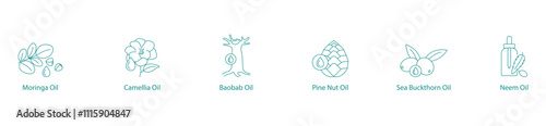 Exotic and Healing Oils Vector Icon Set: Moringa, Camellia, Baobab, Pine Nut, Sea Buckthorn, Neem