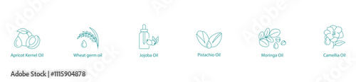 Natural Skin Care Oils Vector Icon Set: Apricot Kernel, Canola, Wheat Germ, Jojoba, Pistachio, Moringa, Camellia