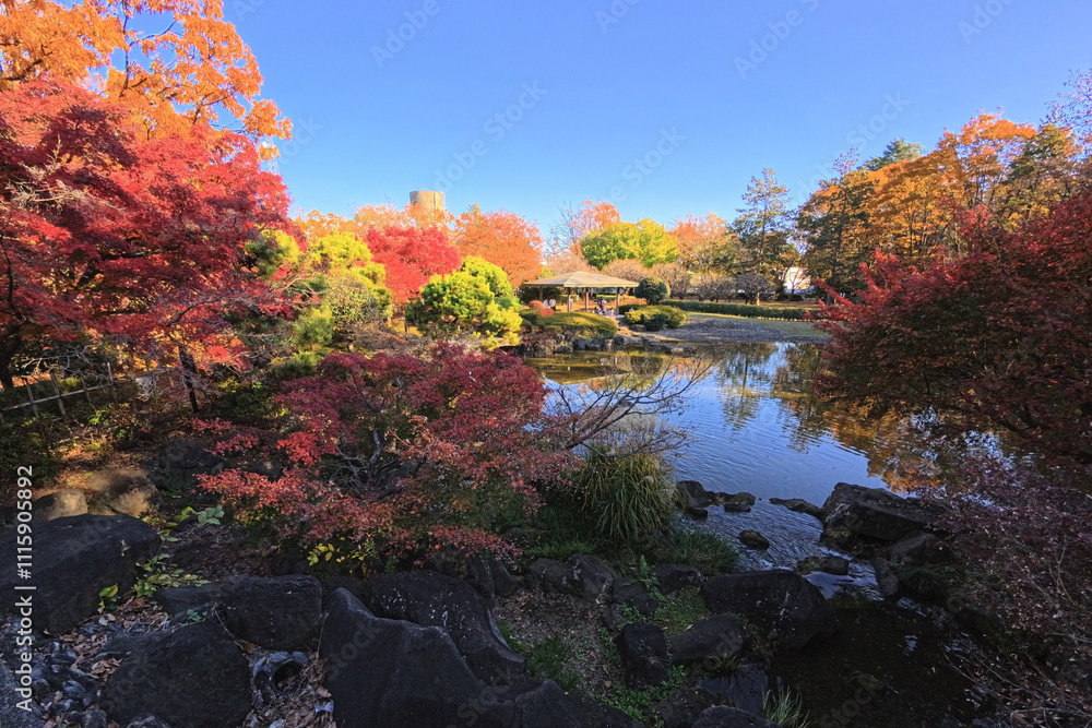 Obraz premium 紅葉の庭園