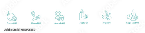 Luxurious Beauty Oils Vector Icon Set: Coconut, Almond, Avocado, Jojoba, Argan, Grape Seed