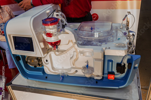 Device for normothermic perfusion of a donor kidney. photo