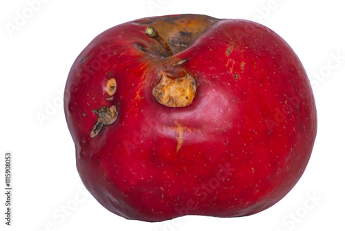 red rotten apple