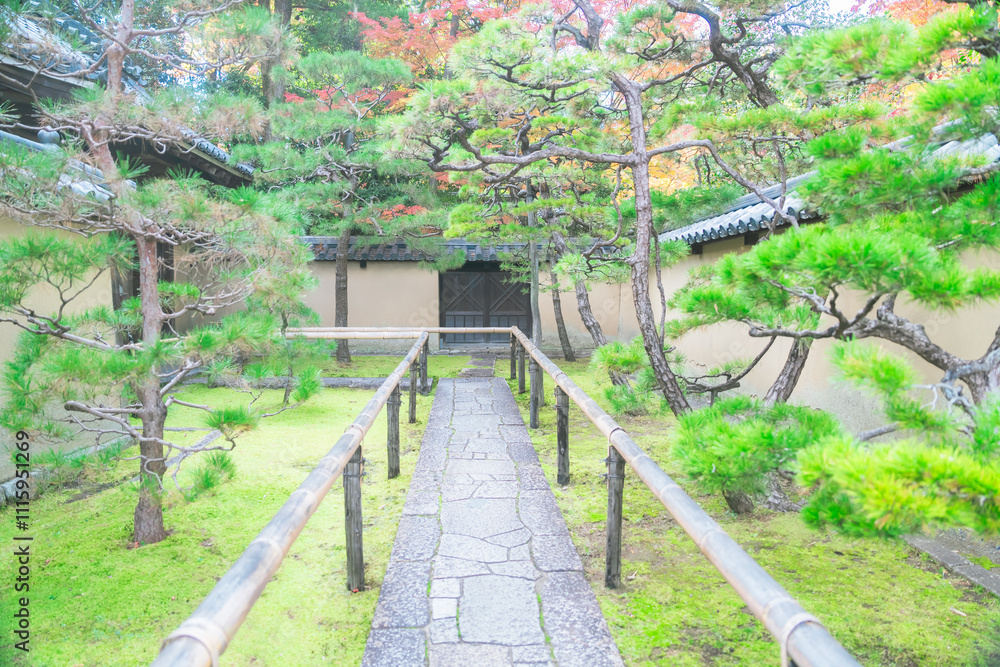 Obraz premium 京都の大徳寺の紅葉