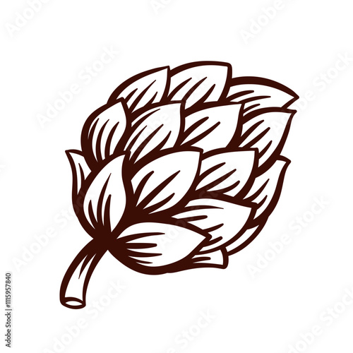 Green hop cone line icon. Outline hand drawn vintage fresh plant ingredient for making beer, decorative element of brewery emblem. Oktoberfest, harvest mascot, hop icon vector illustration