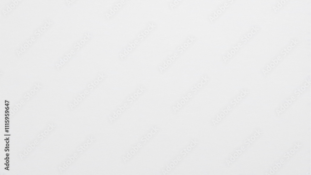 White paper texture background. rough and textured in white paper. White paper texture. White color texture pattern abstract background for your design and text. White recycle paper cardboard surface White paper texture background. rough and textured in white paper. White paper texture. White color texture pattern abstract background for your design and text. White recycle paper cardboard surface
