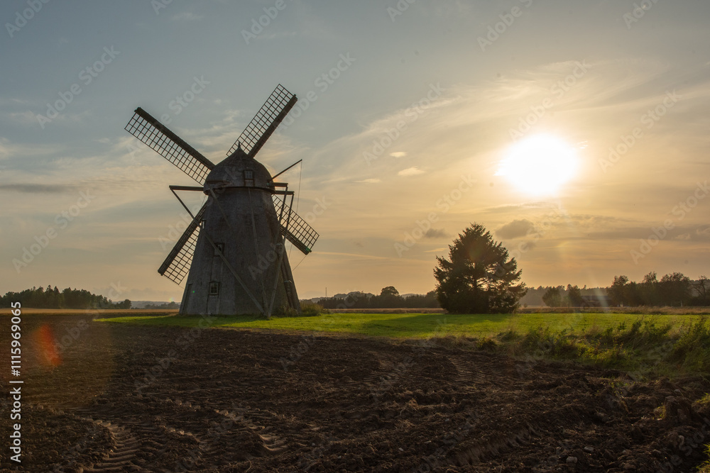 Fototapeta premium windmill in backlight at sunset